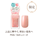 PK05 うるわしローズ限定カラー